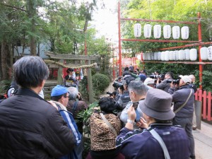 IMG_2392
